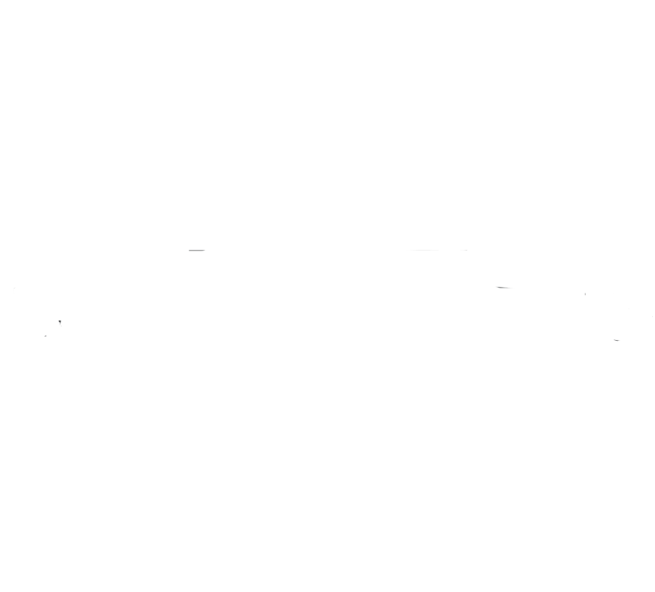 Logo Skyline